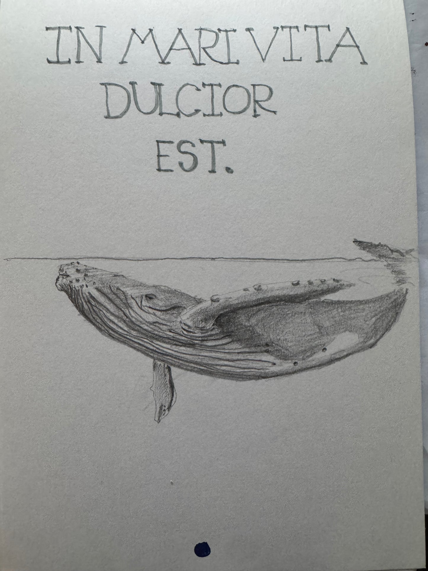 In Mari Vita Dulcior Est